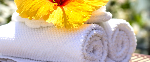 Bluelabel Escort Baden Baden Wellness Baden Baden Wellness and spa