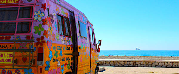 Go wild on Ibiza Go wild on Ibiza