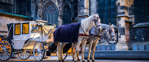 Salzburg Escort Trip Salzburg Escort City Trip