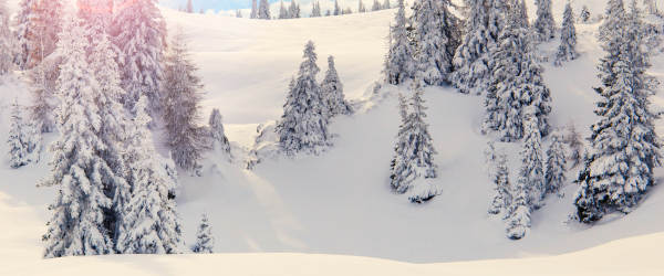 Escort St Moritz Schnee Winterwonderland