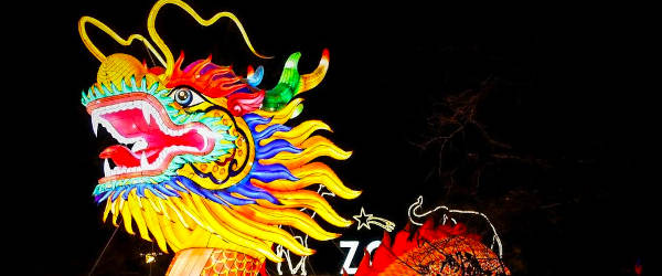 Hong Kong Escort Dragon Hong Kong Dragon