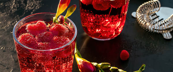 Escort Madrid Drinks Escort Madrid Drinks